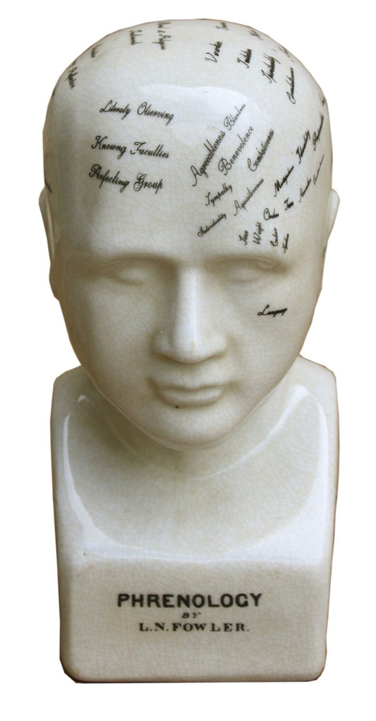Small Ceramic Phrenology Head 19cm