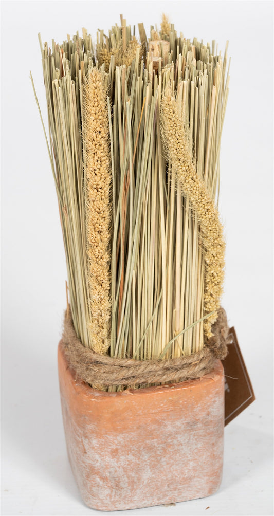 Corn Dried Grass Bouquet in Terracotta Pot